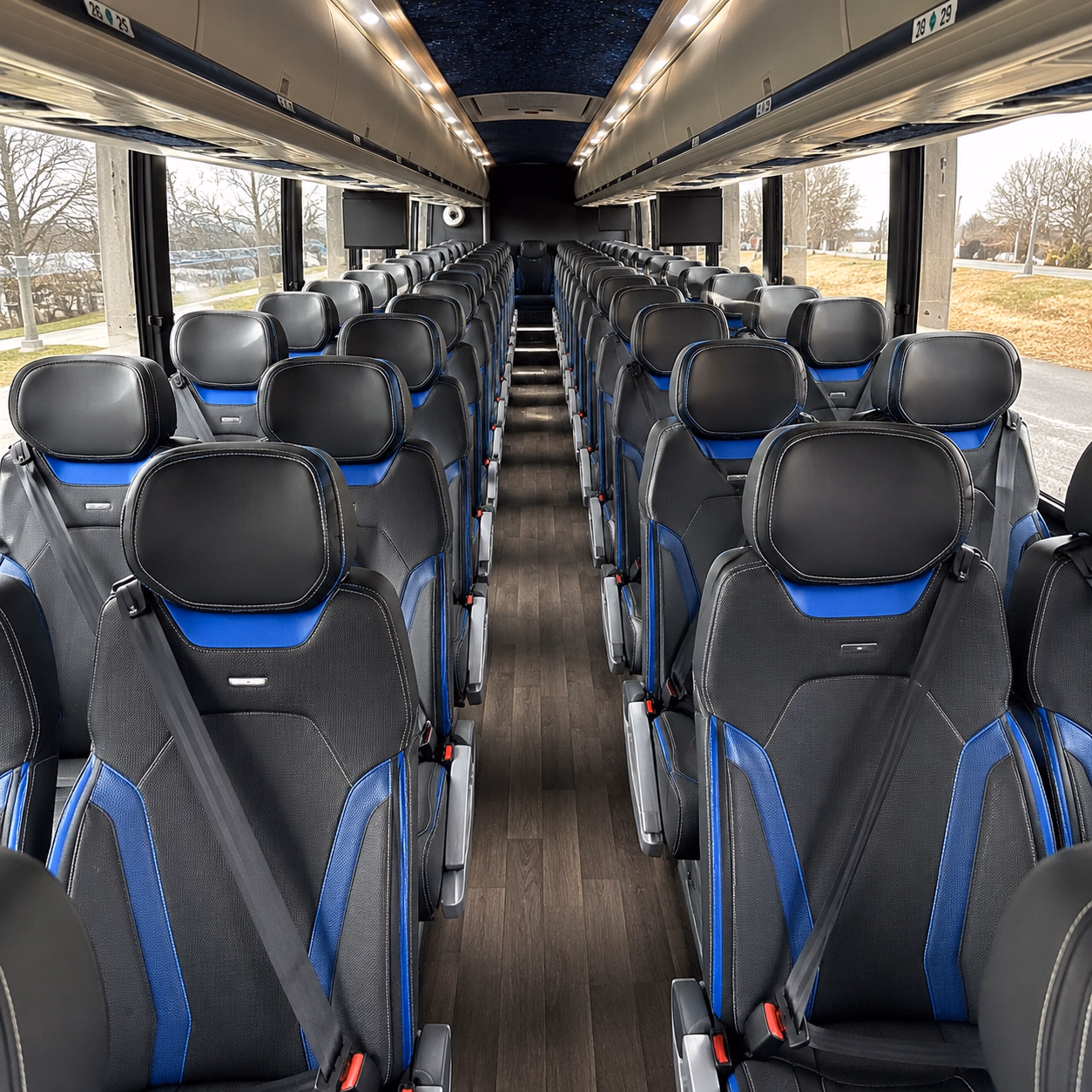 san angelo charter bus tours to big bend national park and carlsbad caverns national park